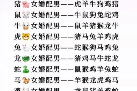 属牛女的婚姻配对更佳属相