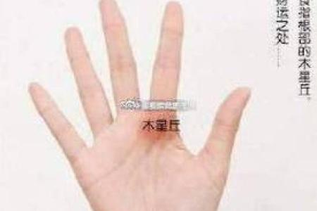 《手相学习百科》：掌丘