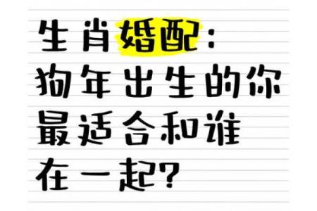 【详解八字合婚狗和狗，看看他们的姻缘指数！】