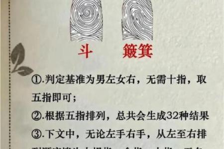 《手相学习百科》：指纹