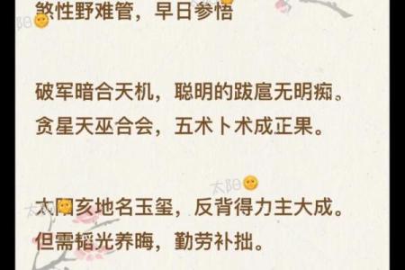 红尘相遇紫薇斗数