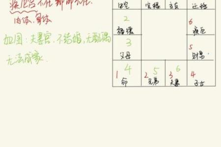紫微斗数诸星落命宫之：生年岁前十二神详解