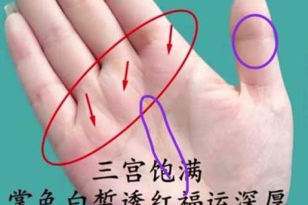 手相木星环算命解析