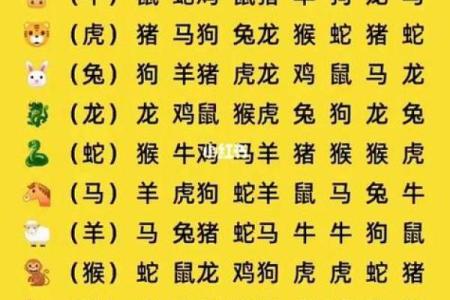属狗和什么属相最配对 属狗和什么属相相冲