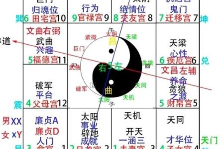 紫薇斗数四化与星组合