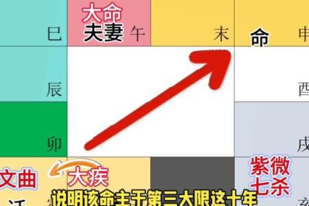 生年紫微斗数 紫薇斗数生年忌？