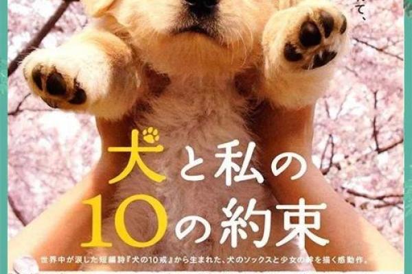 十二生肖百科之戌狗
