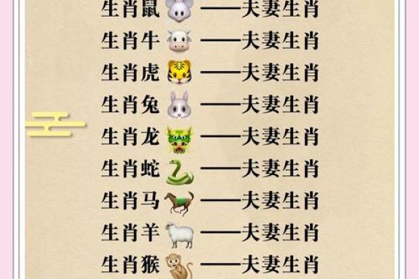 生肖配对属鼠属鸡的婚姻怎么样