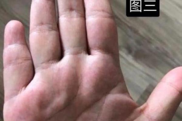 《手相学习百科》：手指
