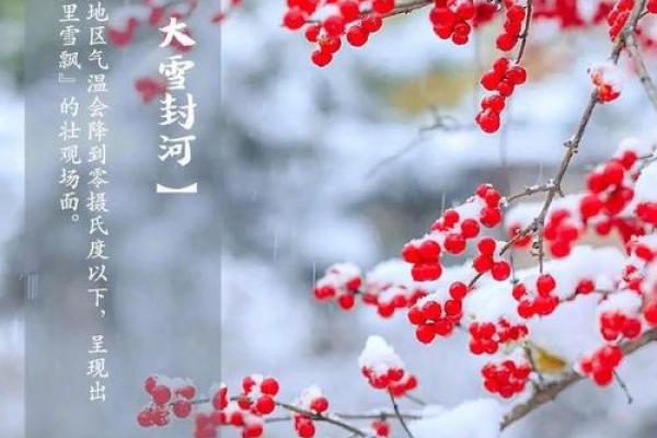 大雪节气的特点 大雪节气的民俗活动