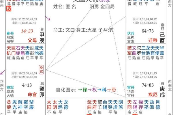 莫西老师紫薇斗数