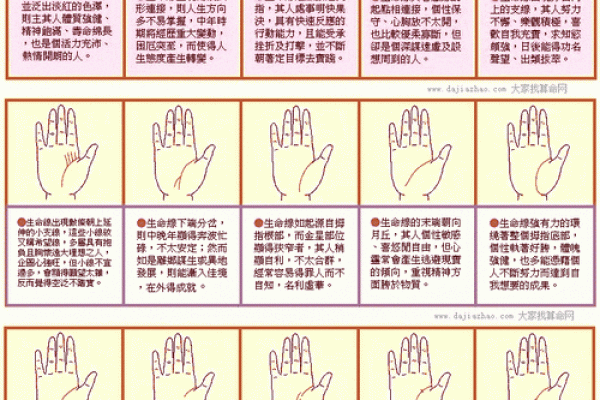 《手相学习百科》：生命线