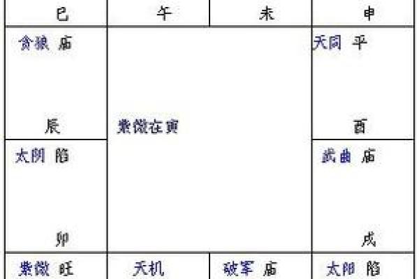 紫薇斗数舞曲