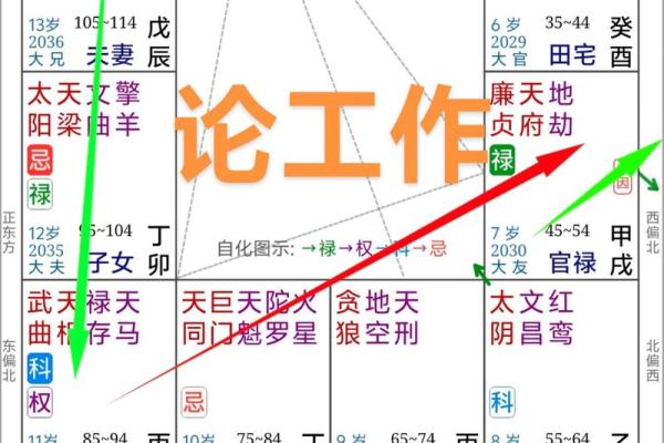 紫薇斗数飞禄