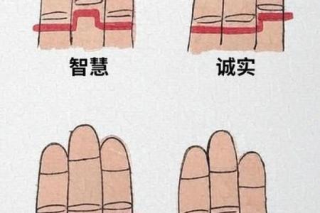 《手相学习百科》：手的轮廓特征