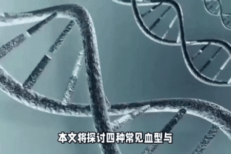 智商排行榜的4大血型有哪些呢
