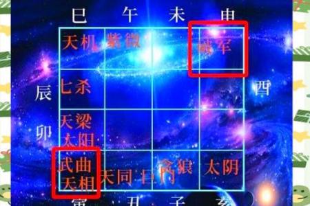 紫微斗数诸星落诸宫之：太阴星子女宫详解