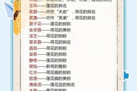 [性旦取名攻略]25个性格优雅的取名想法,百科详解！