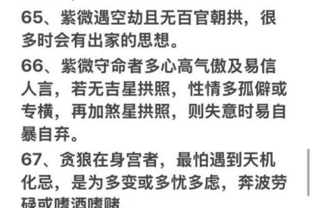 紫薇斗数698元
