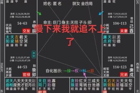 紫微斗数看财力靠自己还是靠别人技法#财富