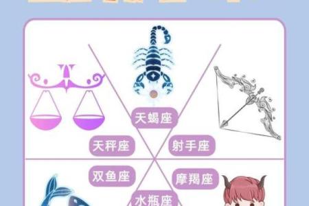 十二星座的守护花