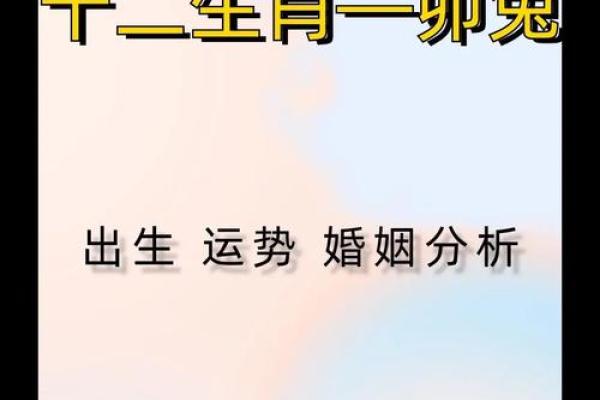属兔出生最好六个吉日 属兔的出生吉日