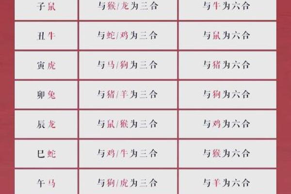 99年属什么今年多大 生肖配对