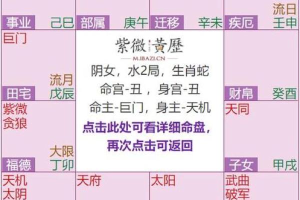 八字紫微星是什么意思