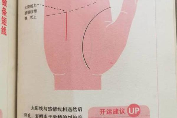 《手相学习百科》：太阳线