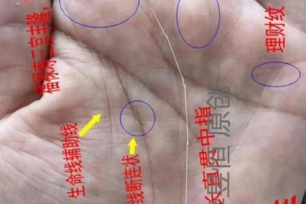 《手相学习百科》：太阳线
