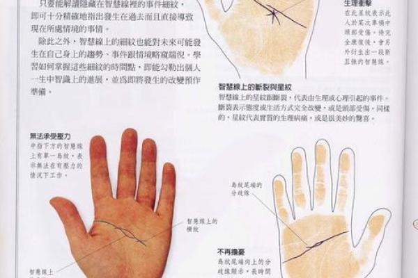 《手相学习百科》：认识双手
