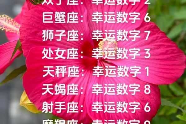 天秤座幸运数字 天秤座守护星是什么星座