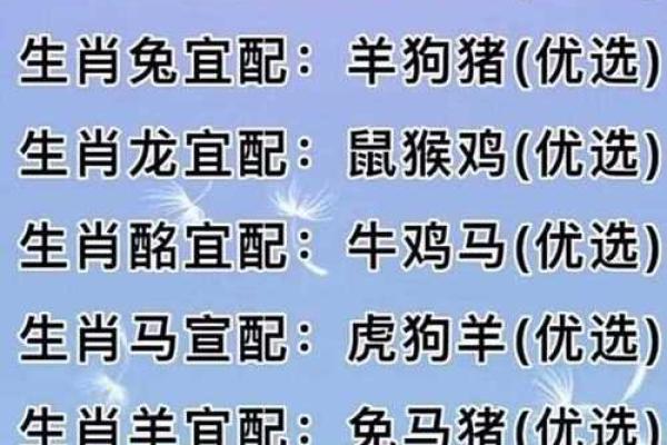 十二生肖姻缘配对生肖配对查询 十二生肖姻缘配对,12属相婚配表？