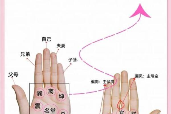 《手相学习百科》：手相重要辅线