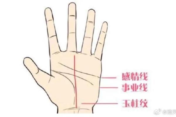 《手相学习百科》：手相重要辅线