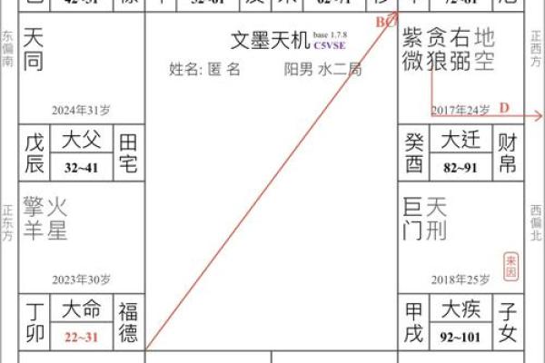 台湾紫微斗数小限派 紫微斗数小限排盘？