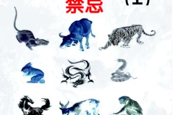 以残生生肖为中心，了解八字排盘的秘密