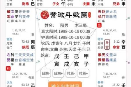 19年紫薇斗数