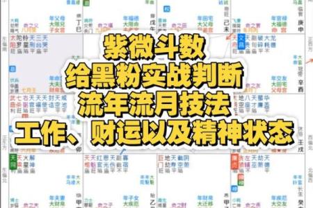 如何通过紫薇斗数看学业