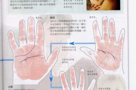 《手相学习百科》：指甲