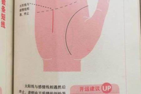 《手相学习百科》：太阳线