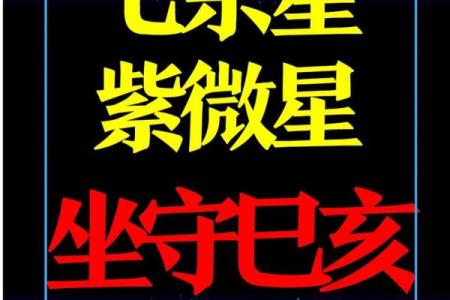 紫微斗数诸星落诸宫之：财帛宫