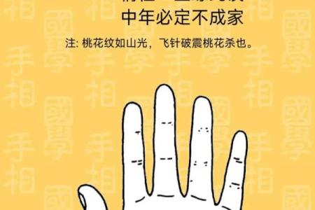 《手相学习百科》：认识双手