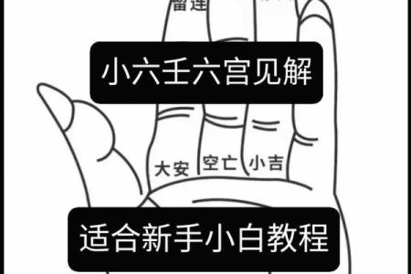 小六壬紫薇斗数