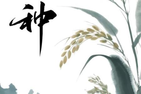 芒种节气绘画图片 芒种节气的故事及民俗