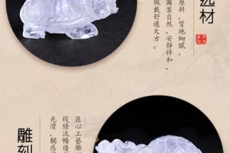 家中风水龙龟的摆放方法及禁忌
