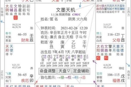 台湾紫微斗数小限派 紫微斗数小限排盘？