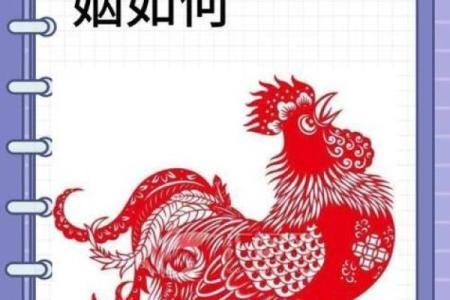 生肖配对：属鼠的和什么属相最配