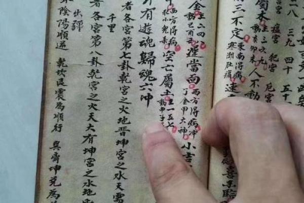占卜算命书