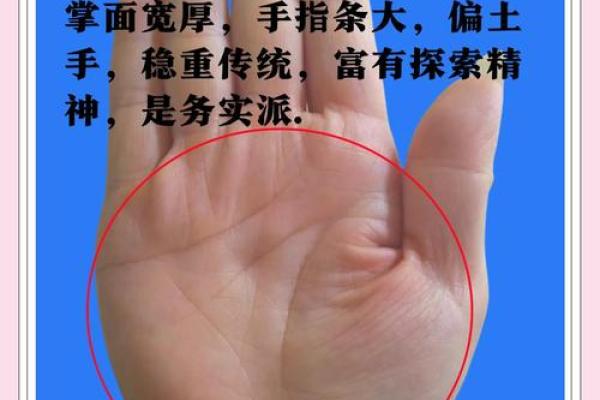 《手相学习百科》：手相看财运和好运